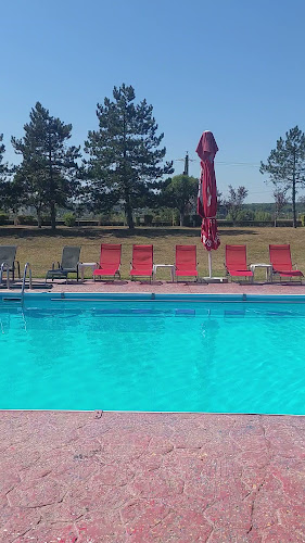 Hotel Star - Gastronomie și ospitalitate