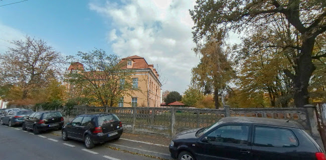 Cotton Restaurant - Gastronomie și ospitalitate