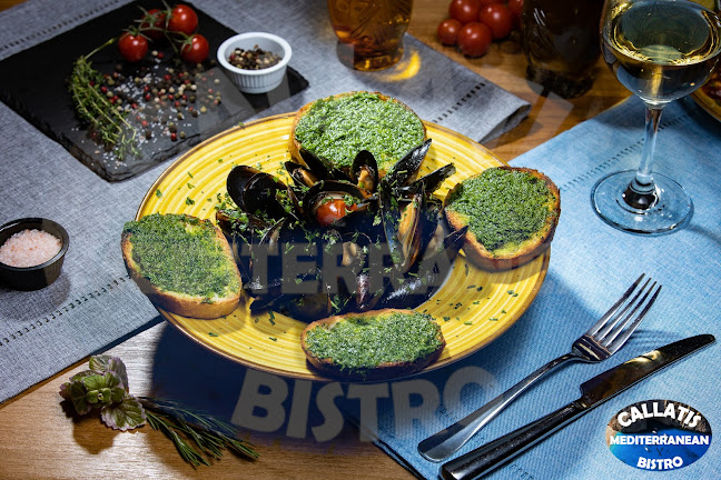 Bistro Callatis - Gastronomie și ospitalitate