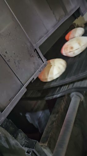 Comentarii opinii despre Pain D.or