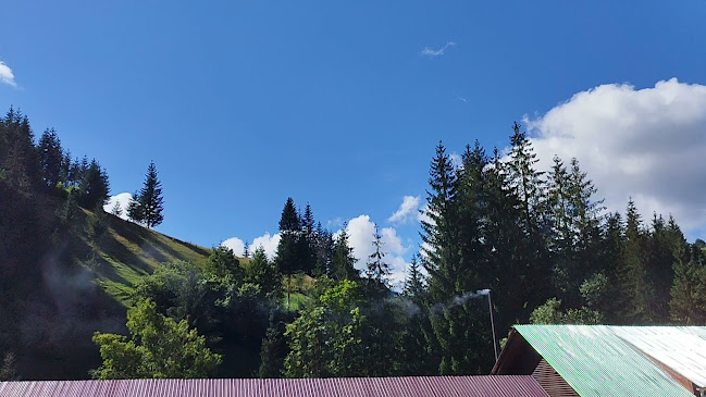 Opinii despre Pensiunea La Marian în Gârda de Sus - Gastronomie și ospitalitate