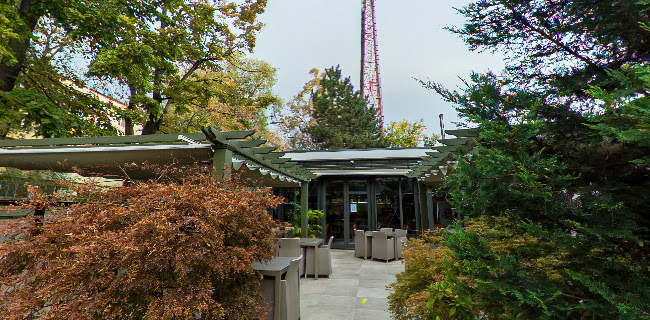 Opinii despre Casa Vrânceană în Focșani - Gastronomie și ospitalitate