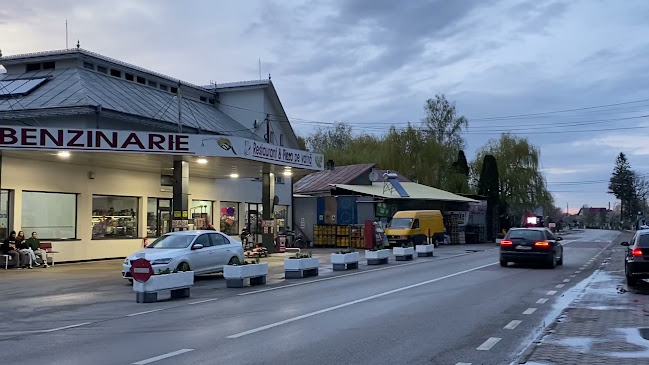 Opinii despre Restaurant Pizza Benzinarie în Milișăuți - Gastronomie și ospitalitate