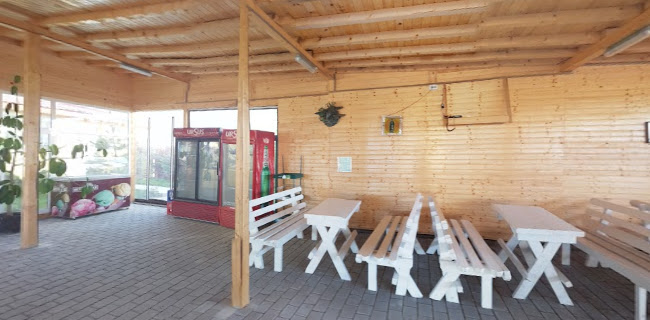 Dovinot Piscină - Mihăilești