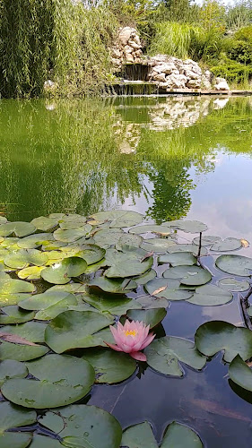 Comentarii opinii despre Grădina Vlahiia