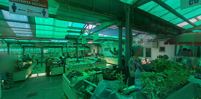 Comentarii opinii despre Piața Agroalimentară Centrală