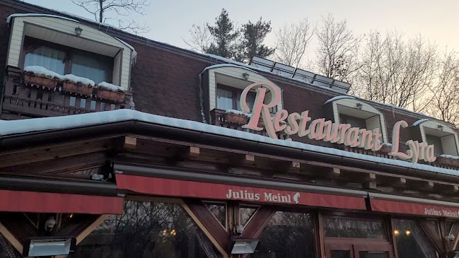 Restaurant Pensiune Lyra | mâncare tradițională, preparate bbq, livrare mures, restaurant mures