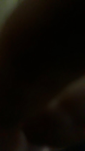 Opinii despre Restaurant President în Rovinari - Gastronomie și ospitalitate