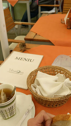 Comentarii opinii despre Vărzărie