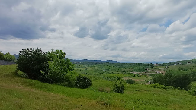 Strada Prutului 10, Câmpina 105600