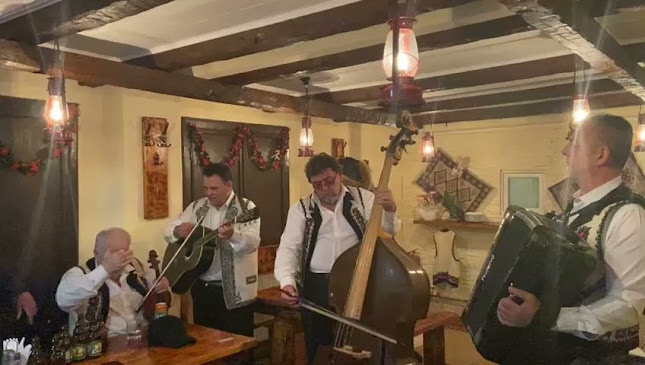 Restaurant Sura Dacilor Arad - Gastronomie și ospitalitate