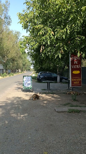 Opinii despre Brutaria din sat, paine pe vatra. în Izvoarele - Gastronomie și ospitalitate