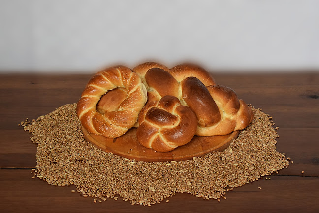 Opinii despre Cuptorul de Aur în Suceava - Gastronomie și ospitalitate