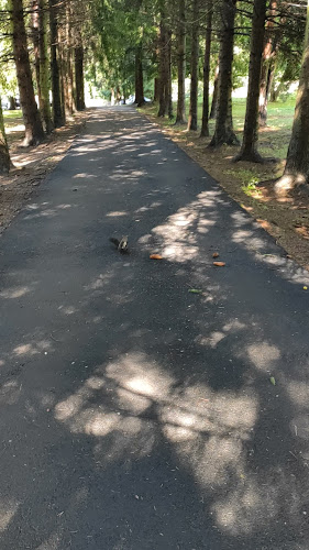 Opinii despre Ca La Mama Acasa' în Covasna - Gastronomie și ospitalitate