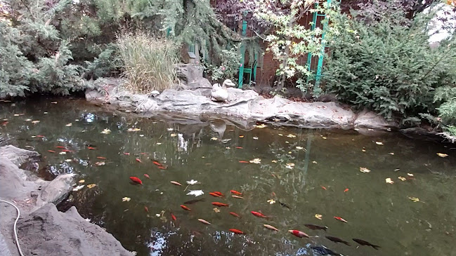 Bulevardul Unirii 202, Buzău 120014