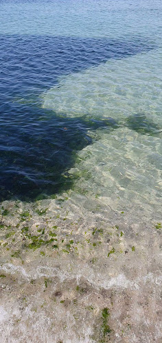 Hotel Restaurant Carul cu Flori - Oravița