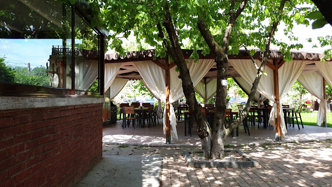 Opinii despre Restaurant "Donaris" Brăila în Vărsătura - Gastronomie și ospitalitate