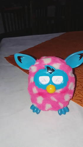 Restaurant Flacara Vie La Ciuperca - Tulcea