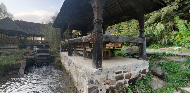 Păstrăvăria Alex - Gastronomie și ospitalitate