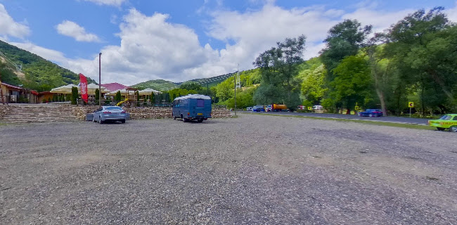 DN57B, Valea Minișului 327041