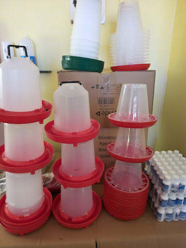 DJ204D 169, Suraia 627330