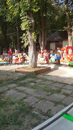 Casa Vânătorului - Iași