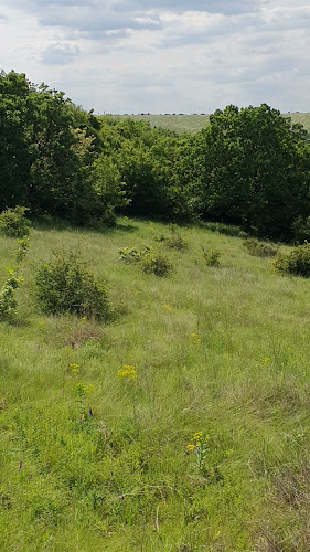 McDonald's - Gastronomie și ospitalitate