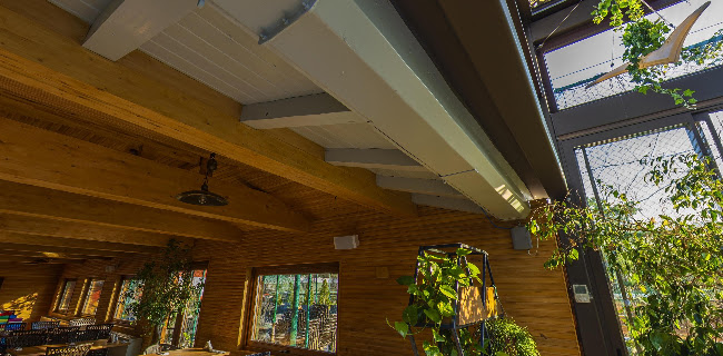 Opinii despre Restaurant Pescăruș în București - Gastronomie și ospitalitate