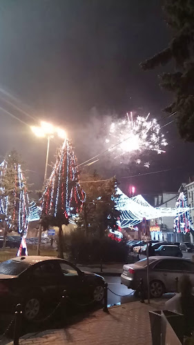 Hotel Bistrița - Bistrița