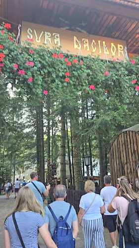 Șura Dacilor - Gastronomie și ospitalitate