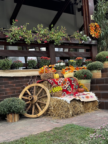 Aleea Lacurilor 1, Păulești 107400