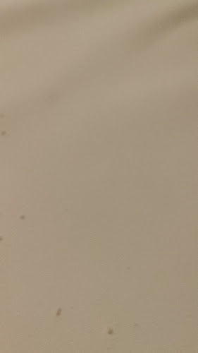 Trei Rândunici - Brăila