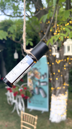 Strada Ferme F 15, Otopeni 075100