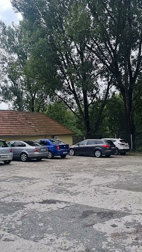 Restaurant Piatra Scrisă - Armeniș