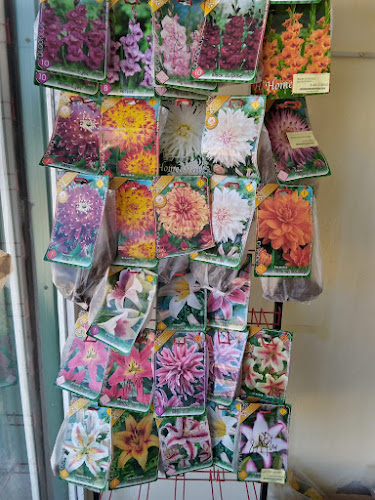 DJ204D 169, Suraia 627330