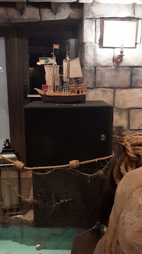 Paradisul Piraților - Timișoara