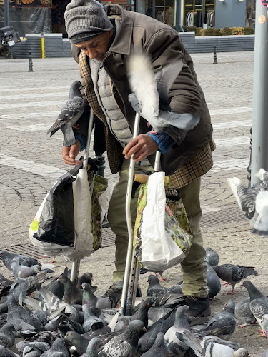 Bulevardul Ștefan cel Mare și Sfânt 3, Iași 700498