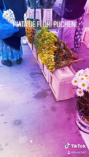 TARG DE LEGUME, FRUCTE SI FLORI