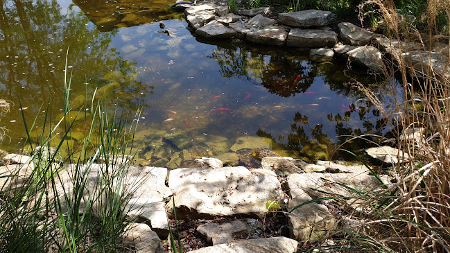 Restaurant "Donaris" Brăila - Gastronomie și ospitalitate