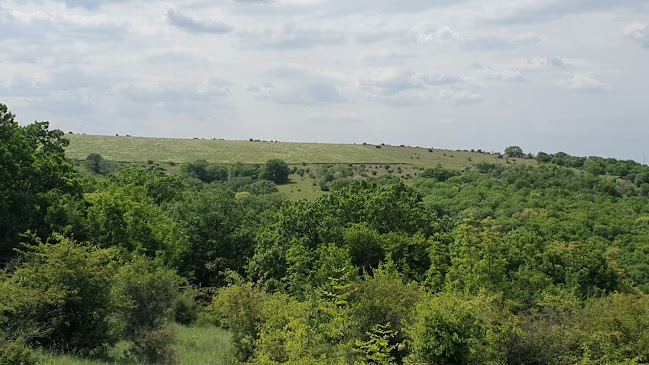McDonald's - Constanța