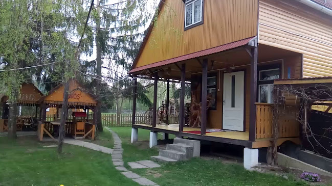 Str. Principala, 131, Borzont, DN13B 537131