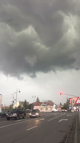 Piaţa Cibin - Gastronomie și ospitalitate