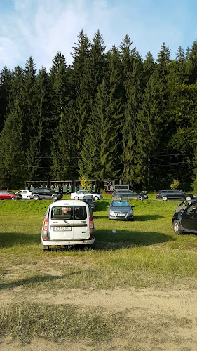 Opinii despre Restaurant Valea Zânelor Covasna - Kovásznai Tündérvölgy Étterem în Covasna - Gastronomie și ospitalitate