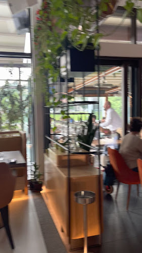 Opinii despre Rivo în Oradea - Gastronomie și ospitalitate