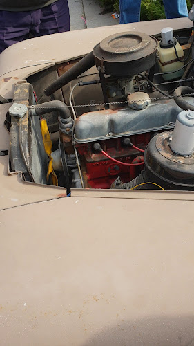 Opinii despre Restaurant Transilvania ( Sori Bar) în Arad - Gastronomie și ospitalitate