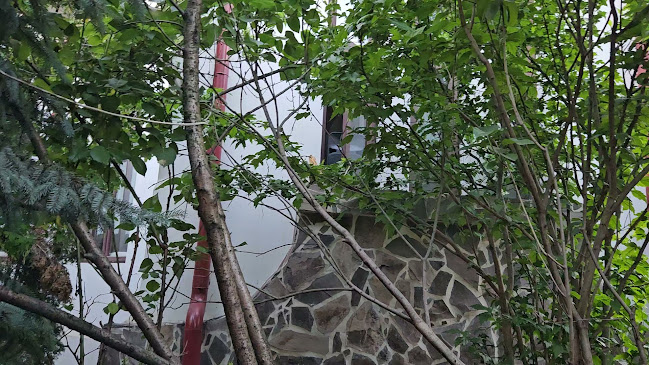 Comentarii opinii despre La Conac