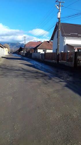 PRODUCŢIE BINGO S.R.L.