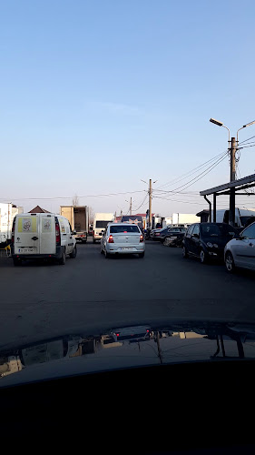 Comentarii opinii despre Târgul Pucheni