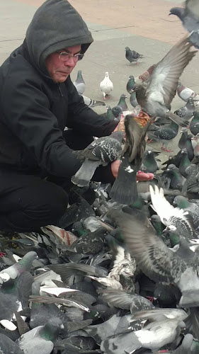 Bulevard - Gastronomie și ospitalitate