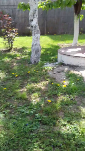 Piața 25 Octombrie 6, Satu Mare